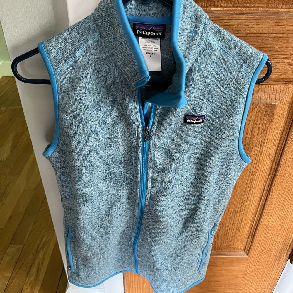 Patagonia Vest, size womens large, blue